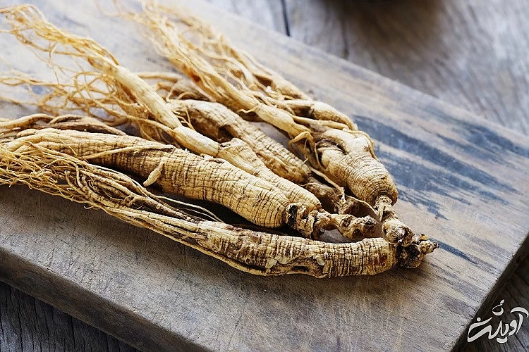 جینسینگ و هرآنچه که در مورد خواص جادویی آن باید بدانید